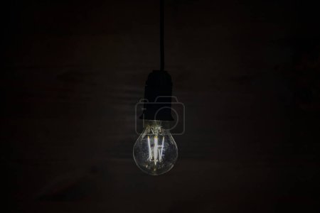 Old vintage light bulb close up on wooden background, copy space