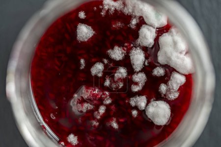 Photo for Dangerous mold in a glass jar of red raspberry jam, close up, top view. Mold is very dangerous to health - Royalty Free Image