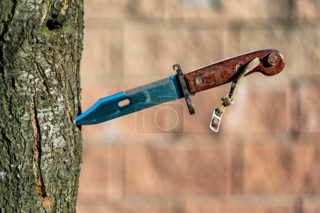 Foto de Cuchillo militar de bayoneta viejo en un árbol, de cerca, al aire libre. Cuchillo de bayoneta fabricado durante la Unión Soviética - Imagen libre de derechos