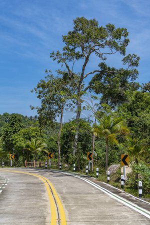 Téléchargez les photos : Route en béton vide avec virage et panneaux indicateurs à travers la forêt tropicale lors d'une journée d'été ensoleillée sur l'île tropicale, Thaïlande. Route tourner à travers la jungle - en image libre de droit