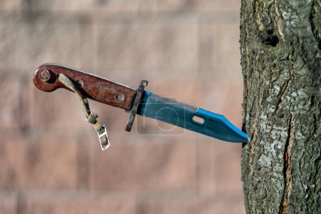 Téléchargez les photos : Vieux couteau à baïonnette militaire dans un arbre, gros plan, à l'extérieur. Couteau à baïonnette fabriqué pendant l'Union soviétique - en image libre de droit