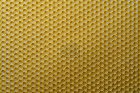 Textura de fondo y patrón de sección voshchina de panal de cera de una colmena de abejas para rellenar con miel. Voshchina una base artificial para la construcción de panales, hoja de cera de las celdas