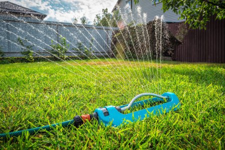 Lawn sprinkler watering green grass in the garden
