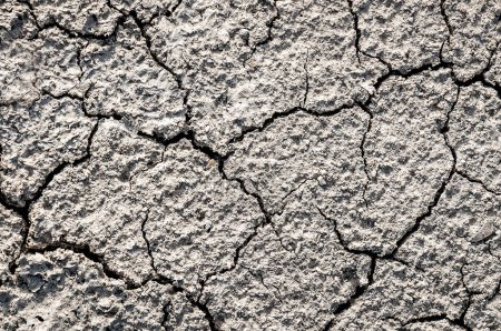 Photo for Dry cracked desert soil as a texture - Royalty Free Image