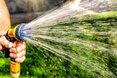 Photo for Gardener's hand holds a hose with a sprayer and watered green lawn garden in sunny day - Royalty Free Image