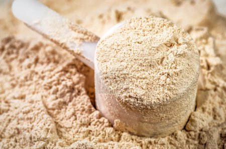 Photo for Plastic scoop full of healthy protein powder - Royalty Free Image