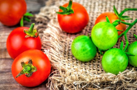 Photo for Ripe and green organic cherry tomato on burlap napkin - Royalty Free Image