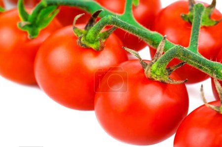 Photo for Ripe cherry tomato twig isolated on white background - Royalty Free Image