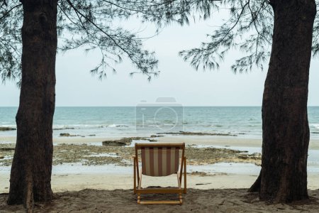 Chaises de plage au bord de la mer sous les pins