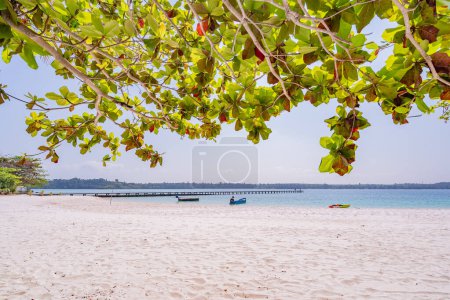 Téléchargez les photos : Belle plage de sable blanc de Koh Kham, province de Trat, Thaïlande - en image libre de droit
