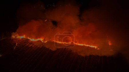 Foto de Incendios forestales ardiendo de noche - Imagen libre de derechos