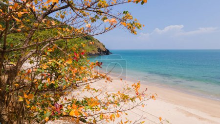 Foto de Hermosa vista de la playa de Koh Lanta con árboles amarillos en el seco s - Imagen libre de derechos