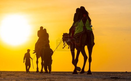 Cavaliers de chameaux à Rann of Kutch, Gujarat, Inde