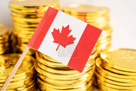 Stack of coins money with Canada flag, finance banking concept.