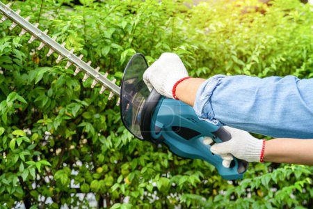 Foto de Jardinero sosteniendo recortador de setos eléctrico para cortar la copa del árbol en el jardín. - Imagen libre de derechos