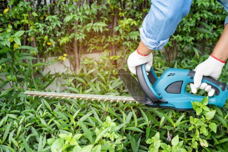 Téléchargez les photos : Jardinier tenant coupe-haies électrique pour couper la cime des arbres dans le jardin. - en image libre de droit
