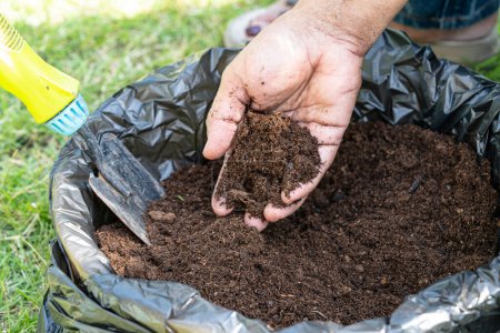 Main tenant mousse de tourbe matière organique améliorer le sol pour l'agriculture culture de plantes biologiques, concept écologique.