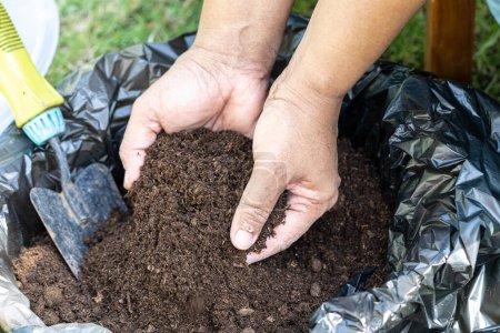 Handhabung von Torfmoos Organische Substanz verbessert Boden für die Landwirtschaft Biopflanzenanbau, ökologisches Konzept.
