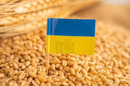 Téléchargez les photos : Blé céréalier avec drapeau ukrainien, concept d'exportation commerciale et d'économie. - en image libre de droit