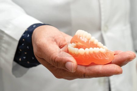 Foto de Dentadura postiza, dentista con modelo de dientes dentales para estudiar y tratar en el hospital. - Imagen libre de derechos
