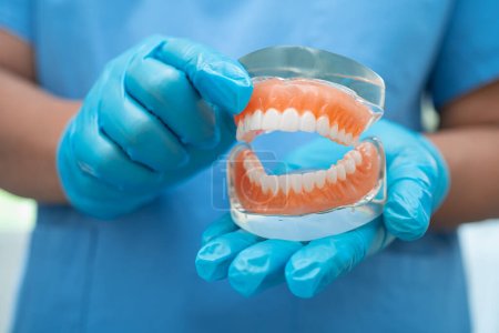 Denture, dentist holding dental teeth model to study and treat in hospital.