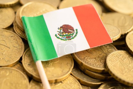 Mexico flag on coins money, finance and accounting, banking.