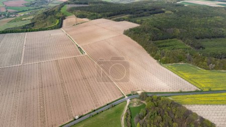 Vista aérea de un campo de lúpulo en la República Checa en abril
