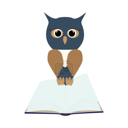 Owl on open empty book. Isolated owl character flat design Jpeg illustration.