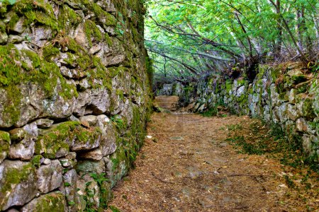 Photo for Dry stone wall on the Caminho Portugues de Santiago, Viana do Castelo, Portugal - Royalty Free Image