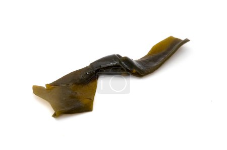 Photo for Preserved Kelp Knot on a white background - Royalty Free Image