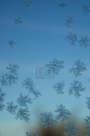 Photo for Iceflowers on a window. In the background there is a clear blue sky. In the bottom right corner in the background there is some blurry trees. Horisontal. - Royalty Free Image