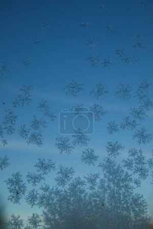 Photo for Iceflowers on a window. In the background there is a clear blue sky. Horisontal. - Royalty Free Image