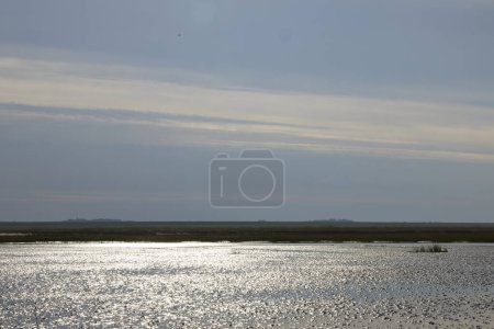 Photo for The mudflats during ebb I backlight. The sand bottom is visible with water that reflects the sun. - Royalty Free Image