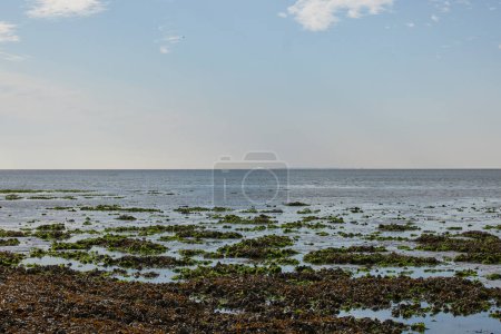Photo for The mudflats at ebb. In the foreground there is the sand bottom. of the mudflats and small puddles of water. - Royalty Free Image