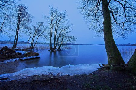 Photo for A winter landscape with a frozen lake. In front of the lake there is trees. It is in the early morning and the sun has not risen. - Royalty Free Image