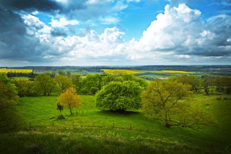 Photo for Landscape in Denmark with green hills and several trees in birds perspective.The sun is shining and the sky is blue. In the foreground there is parts of a tree. - Royalty Free Image