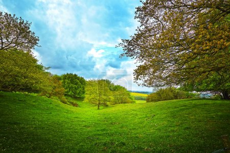 Photo for Landscape in Denmark with green hills and several trees. The sun is shining and the sky is blue. In the foreground there is parts of a tree. - Royalty Free Image