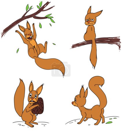 Téléchargez les photos : Écureuil drôle dans différentes poses vivantes, illustration dessinée à la main - en image libre de droit