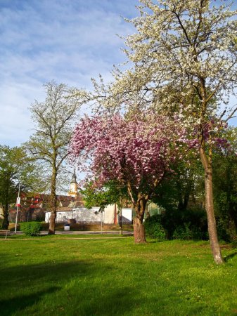 Spring in the beautiful Uckermark