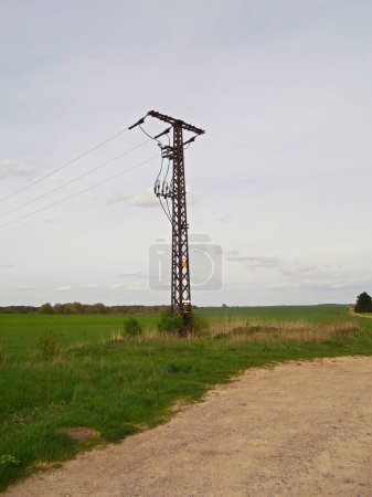 Electricity pylon of a power line