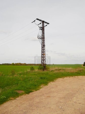 Electricity pylon of a power line
