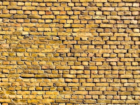 un Mur en briques
