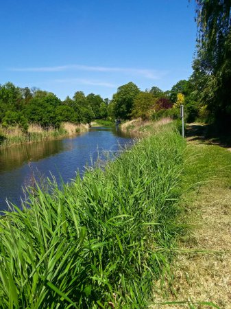 Naturaleza en el río en el Uckermark