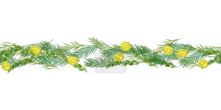Illustration for Traditional Jewish Holiday Sukkot seamless pattern. Jewish torah Lulav date palm, Etrog citron, Arava willow and Hadas myrtle isolated on white. Repeating with etrog, lulav, Arava, Hadas. Vector - Royalty Free Image