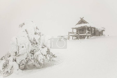 Cabaña de Santa en el día de niebla de invierno. Finlandia en ventisca. Hermoso paisaje con nieve blanca.