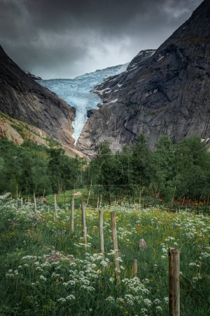 Foto de Briksdalsbreen glacier ice in the mountains of Jostedalsbreen national park in Norway, green meadows with flowers in foreground, clouds in sky - Imagen libre de derechos