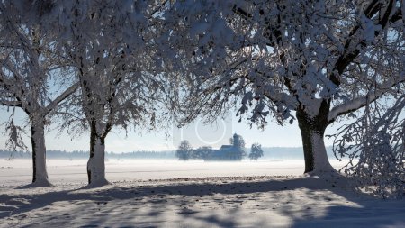 Foto de Bavarian church of Raisting with trees and snow and mist during winter, snow field in the foreground, blue sky day, Bavaria Germany - Imagen libre de derechos