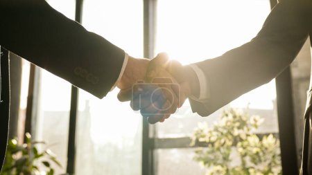 Photo for Close-up two men shake hands in office near window sunny sun background. Unrecognizable partners diverse businessmen conclude successful agreement support partnership cooperation greeting handshaking - Royalty Free Image