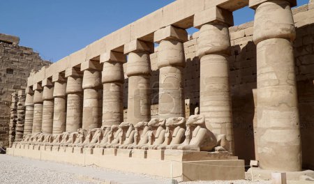 Téléchargez les photos : Temple Karnak à Louxor, Égypte. - en image libre de droit