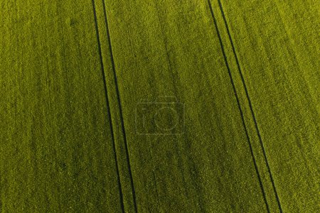 Photo for Aerial view of the harvest fields in Poland - Royalty Free Image